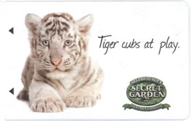 Mirage - Tiger Cubs at Play